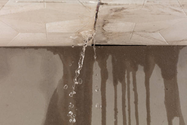 Professional Flood Damage Cleanup technician working in Springdale, UT